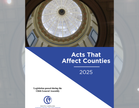 2025 Acts That Affect Counties