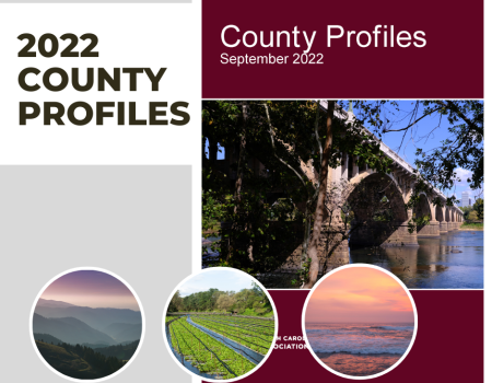County Profiles, 2022 Edition