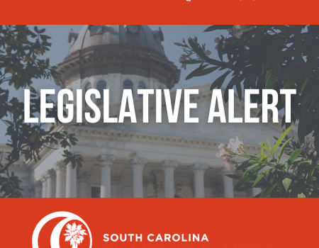 Legislative Alert - Feb. 10, 2025 - Hearing Set for Bill to Reduce Property Taxes for Boat Owners