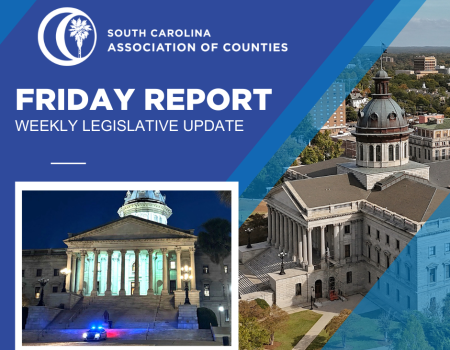Friday Report - March 14, 2025