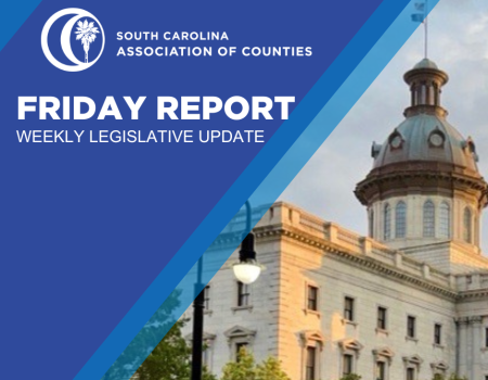 Friday Report - March 21, 2025