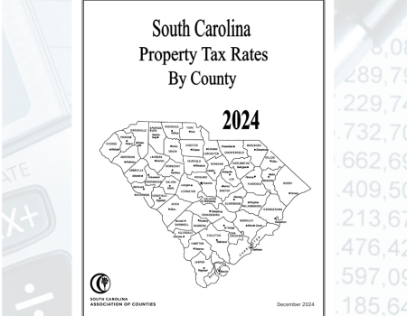 Property Tax Report 2024
