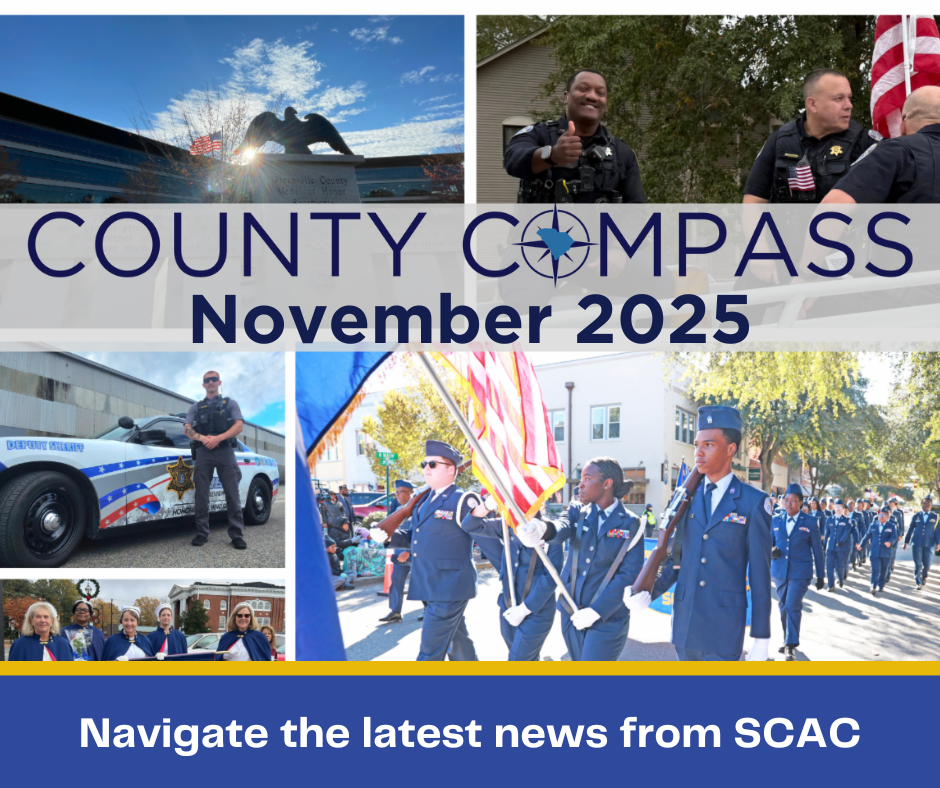 collage of Veterans' Day events from counties across the state