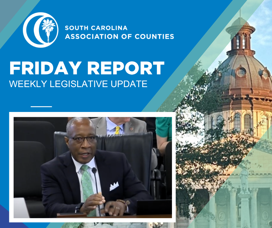 SCAC Of Counsel Kent Lesesne testifies at the State House.