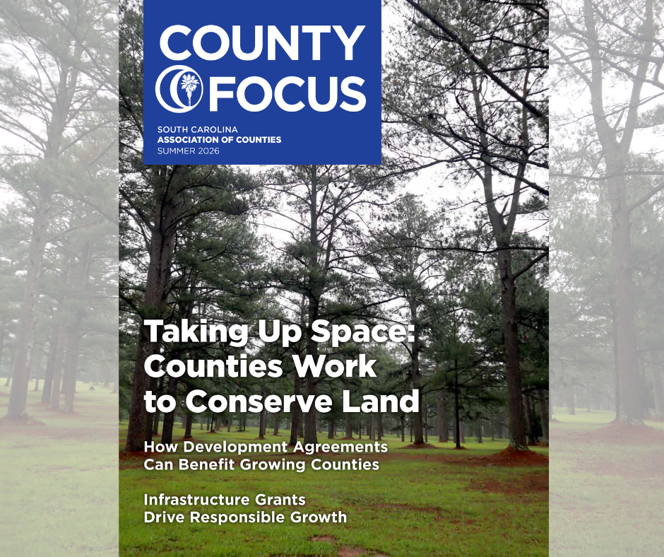 County Focus magazine cover with image of trees