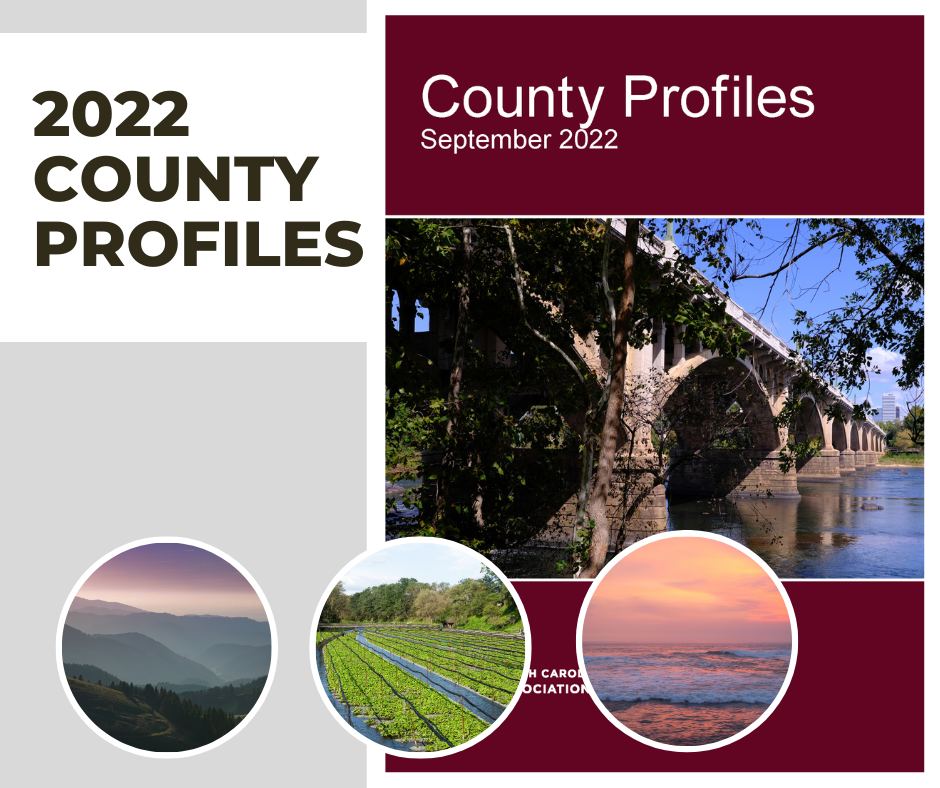 Publication: County Profiles, 2022 Edition