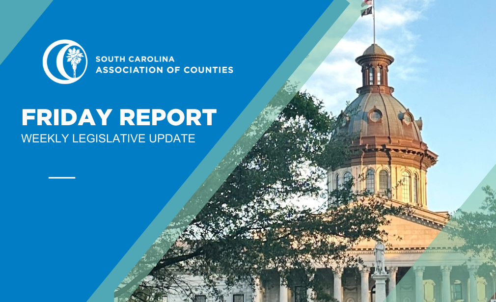 SC State House Friday Report
